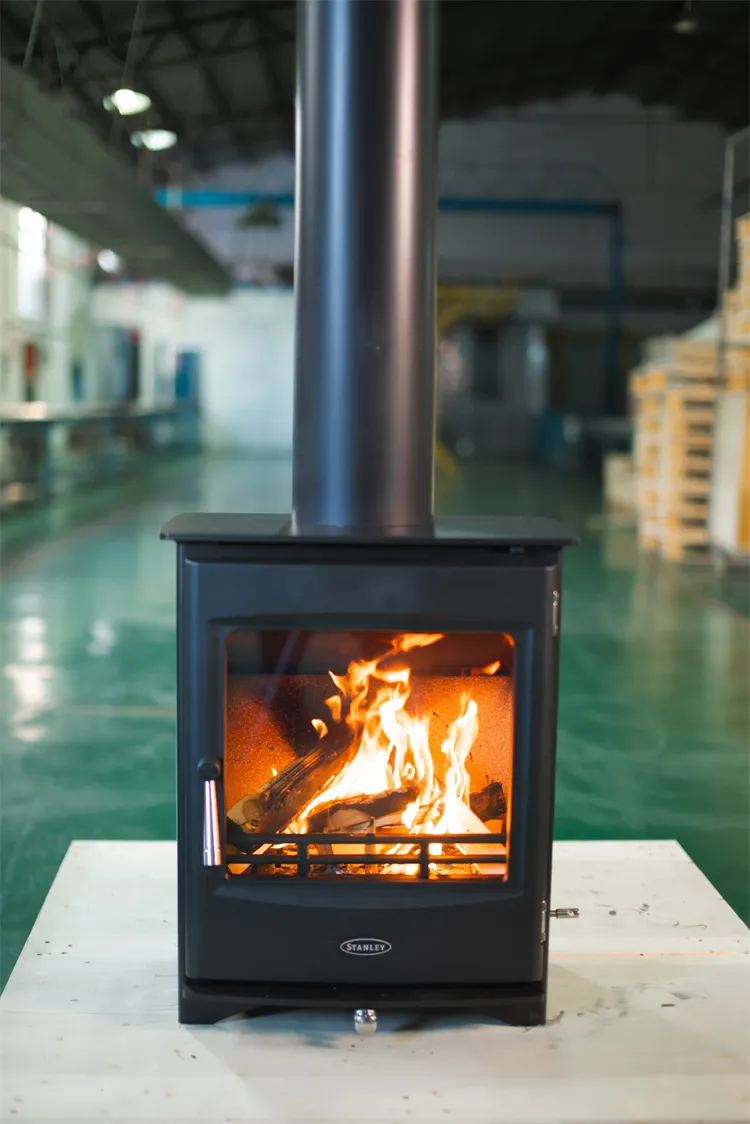 लकड़ी जलाने वाला इन्सर्ट